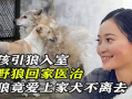 引狼入室 在线观看,揭秘网络陷阱的惊悚故事