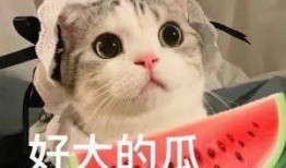 最近网红吃瓜群,揭秘娱乐圈幕后风云
